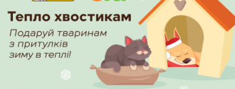 /Files/images/1_2024-2025/Хвостики.png